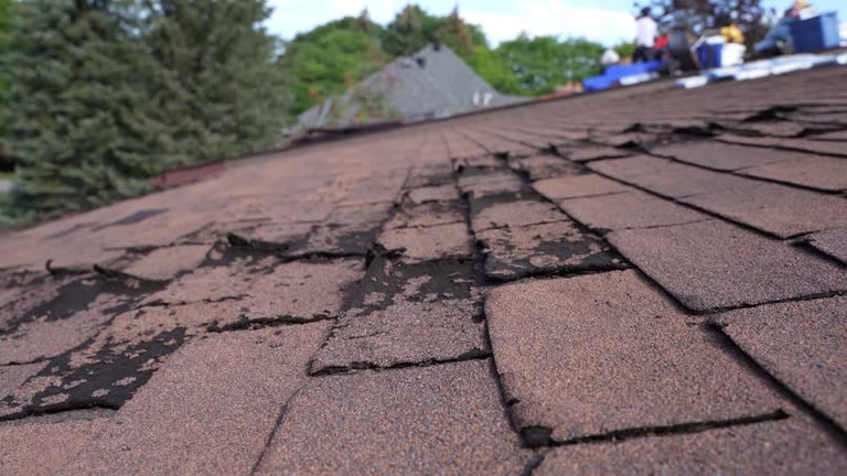 Best Roofing for New Construction  in Massapequa Park, NY