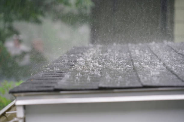 Best Gutter Installation and Repair  in Massapequa Park, NY