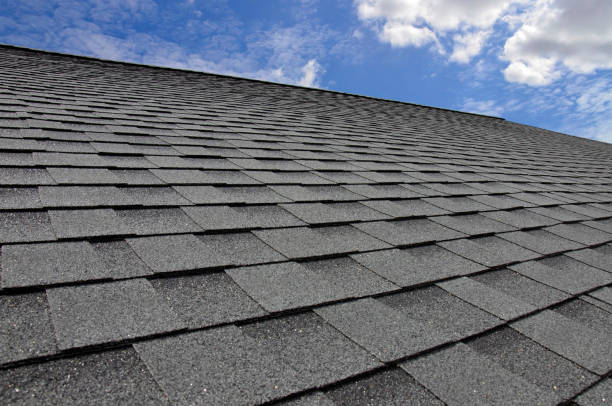 Best Roof Maintenance and Cleaning  in Massapequa Park, NY