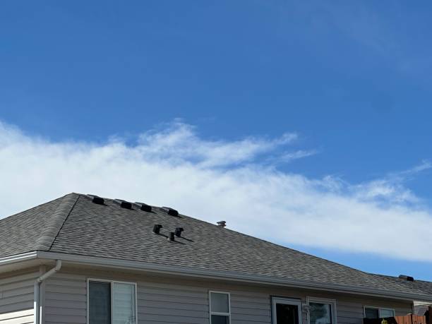 Best Sheet Metal Roofing  in Massapequa Park, NY